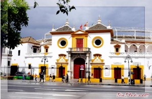 cartel toros