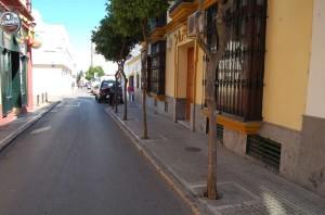 Calle Cecilio Pujazón. San Fernando