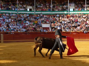 faena en Sanlucar