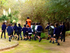 Una actividad en el Jardín Botánico.