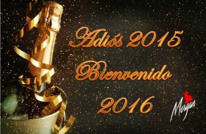 fin de año_2015