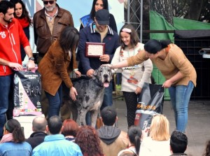 Durante la entrega de premios.