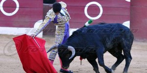 escuelataurinaislena16-cordero-800x400